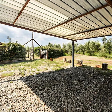 Agriturismo Il Giglio Di Sant' Antonio * Montemassi